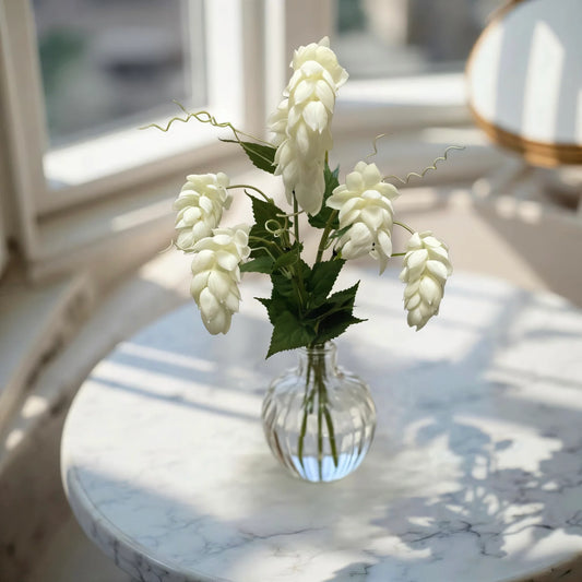25.5" FRESH TOUCH WHITE HOPS BUNDLE WITH 5 STEMS