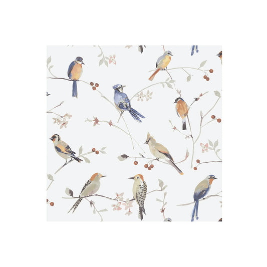 Birds Printed Lunch Napkin 20Pk