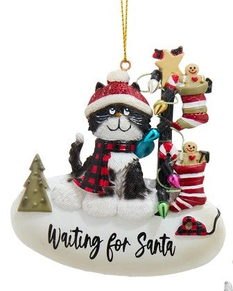 Cat With Sayings Ornaments, 2 Assorted