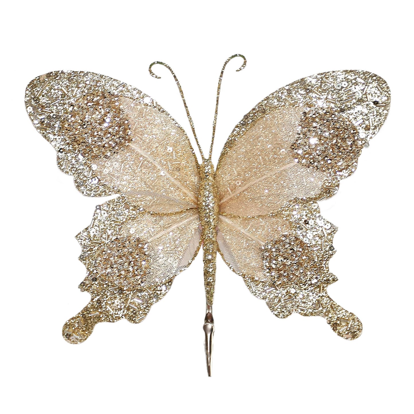 Butterfly (Champagne)