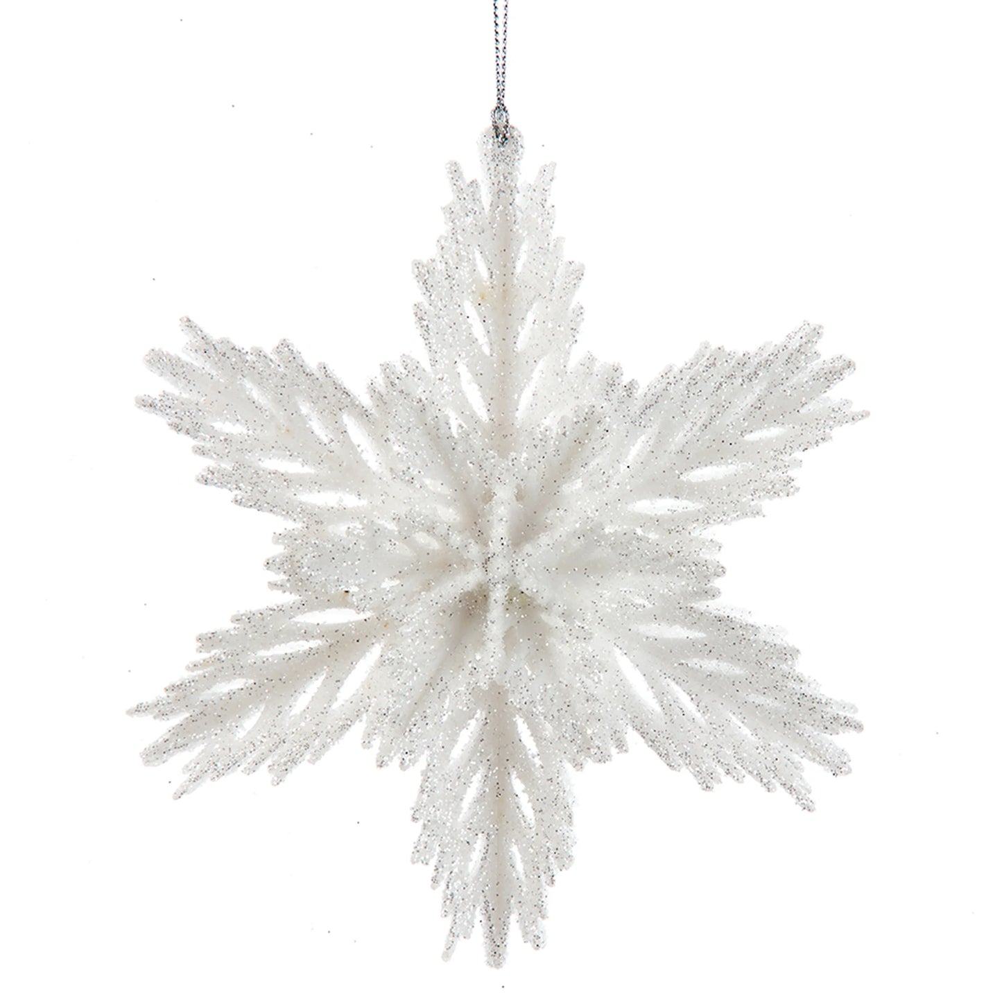 Winter White Glittered Snowflake Ornament
