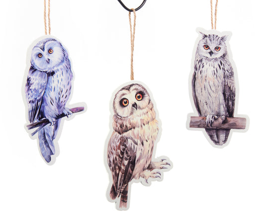 Set of 3 Owl Ornaments.