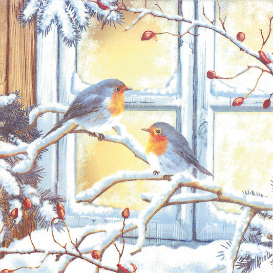 Christmas Napkins 20pk