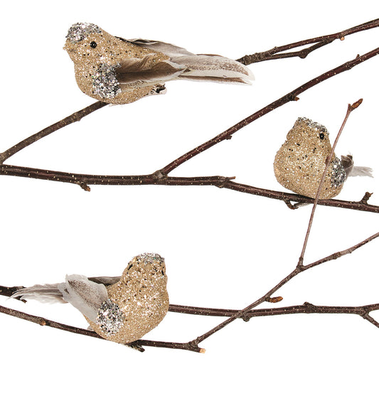 BIRD-SILVER/GOLD(SET3)