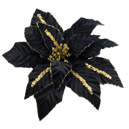 POINSETTIA BLACK