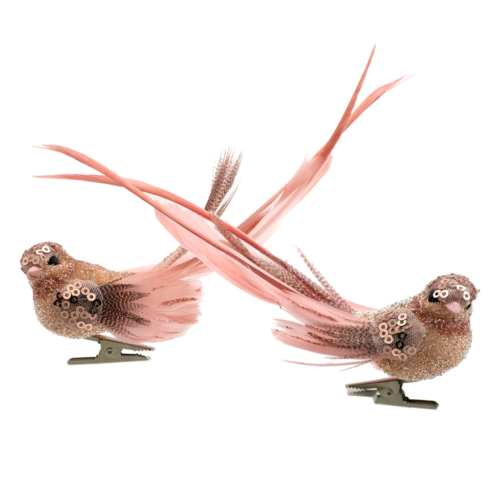 BIRD W/ CLIP