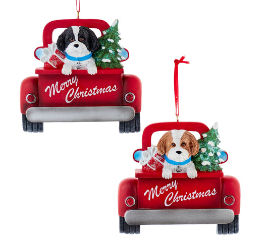 5.5"SHIH-TZU IN BACK OF TRUCK 2/A