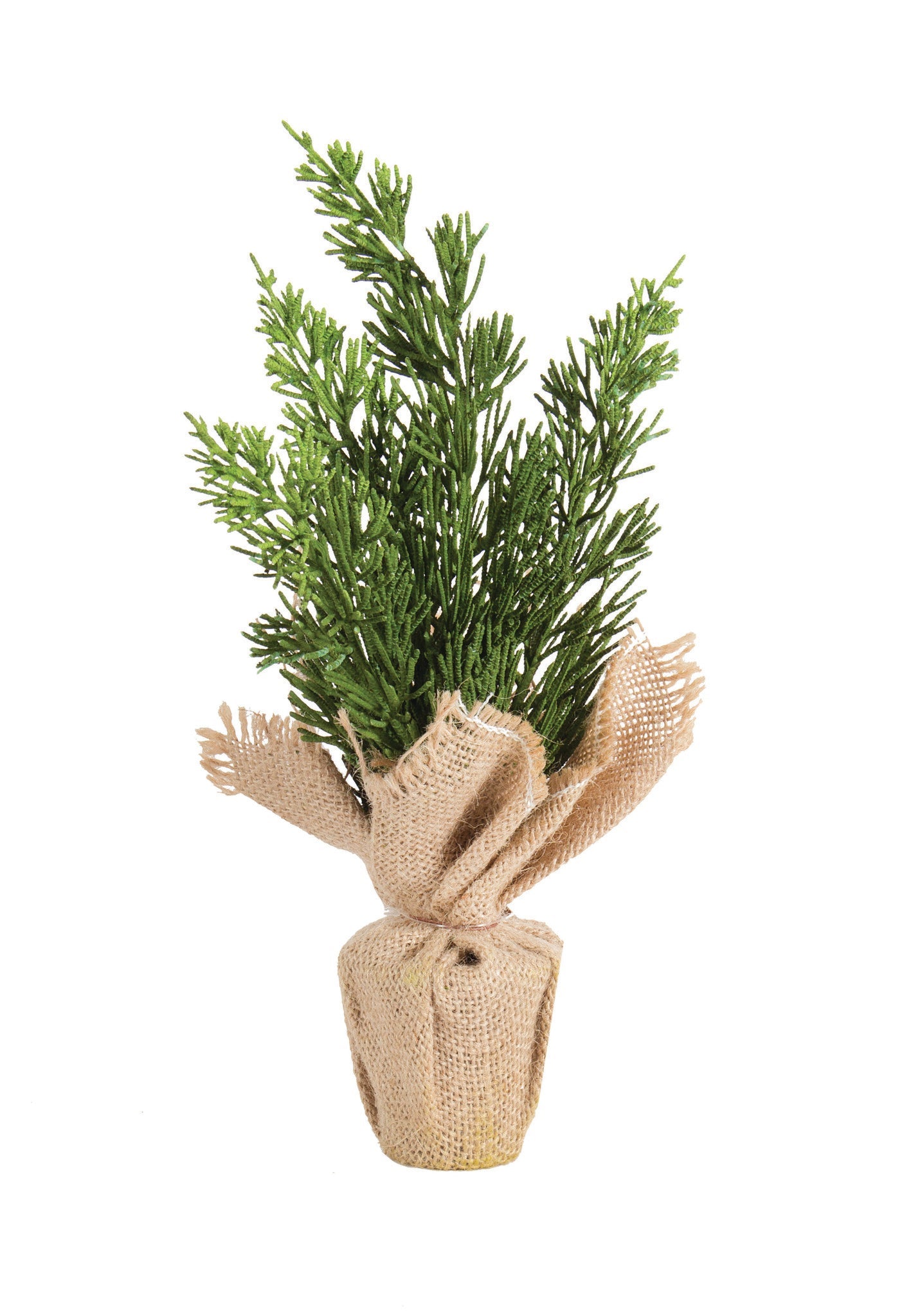 POTTED FLORAL-CEDAR