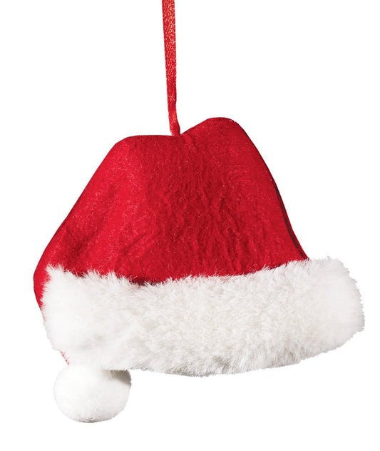 ORNAMENT-SANTA HAT