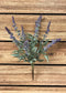 18" LAVENDER LAVENDER BUSH X 8
