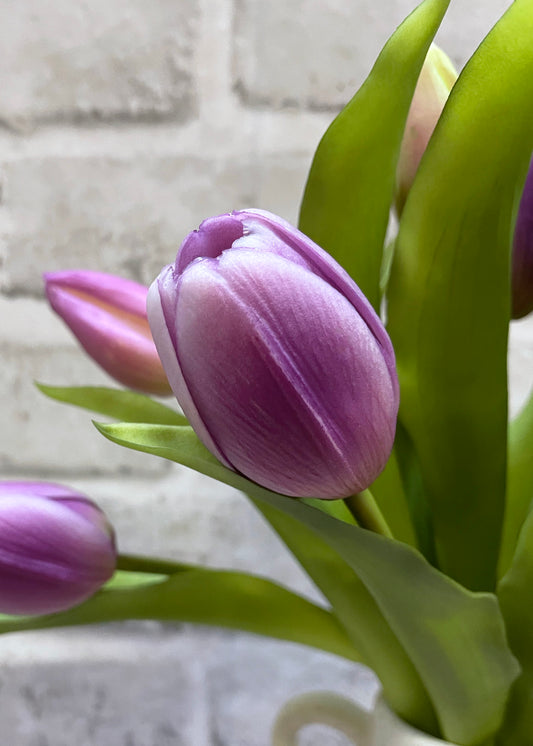 Fresh Touch Tulips (Lavender)