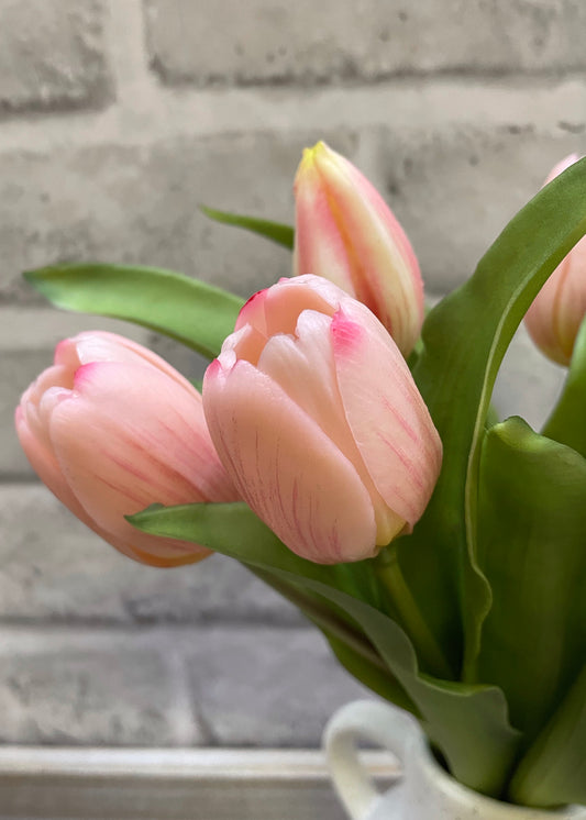 Fresh Touch Tulips (Pink)