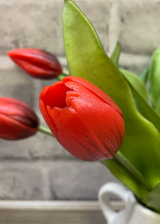 Fresh Touch Tulips (Red)