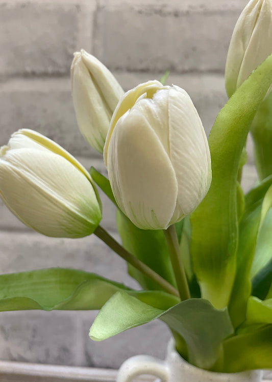 Fresh Touch Tulips (White)