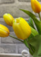 Fresh Touch Tulips (Yellow)