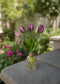 10" FRESH TOUCH MINI WILD LAVENDER WHITE TULIP BUNDLE