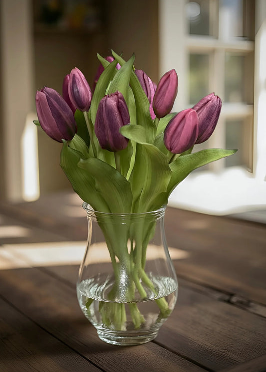 12" FRESH TOUCH DARK PLUM FORMOSA TULIP BUNDLE