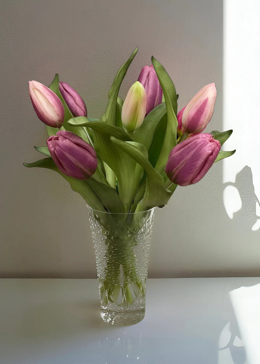 12" FRESH TOUCH LIGHT PLUM FORMOSA TULIP BUNDLE