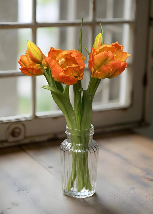 16" FRESH TOUCH ORANGE TULIPA PARROT TULIP BUNDLE