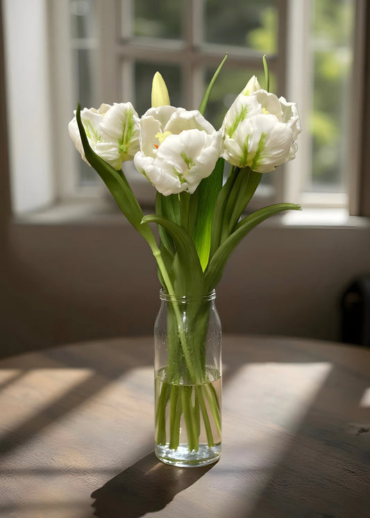 16" FRESH TOUCH WHITE TULIPA PARROT TULIP BUNDLE