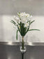 12" FRESH TOUCH WHITE PAPERWHITE BUNDLE