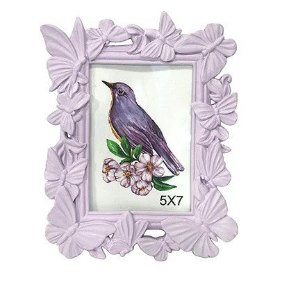 4 Asst Butterfly Frames