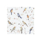 Birds Printed Lunch Napkin 20Pk