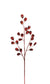 Red Gemstone Spray