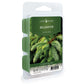 Classic Wax Melts  2.5oz - Balsam Fir