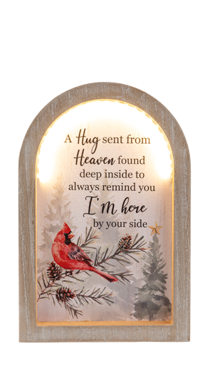 Light Up Cardinal Memorial Decor