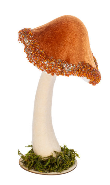 Mushroom