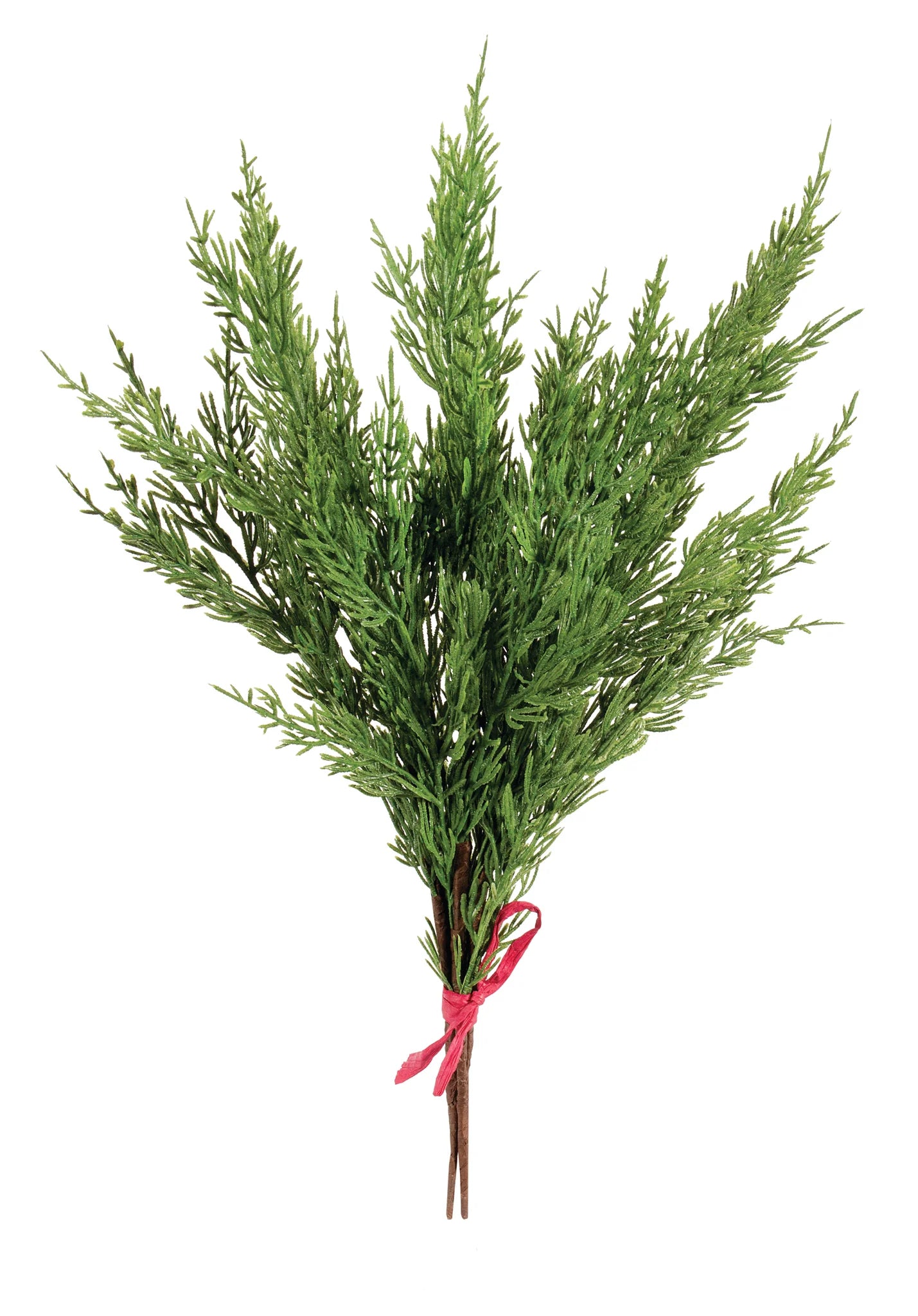 Cedar Pick Bundle