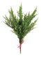 Cedar Pick Bundle