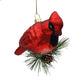 GLASS RED CARDINAL 5"X2"X2" ON BRANCH ORNAMENT