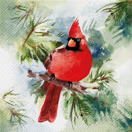 Luncheon Winter Cardinal Napkins-20Pk