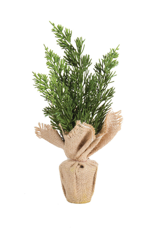 POTTED FLORAL-CEDAR